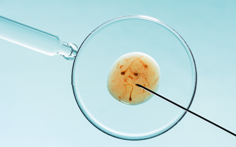 in_vitro_fertilization_ivf